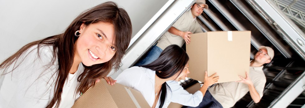 Professional Removalists Wallaville